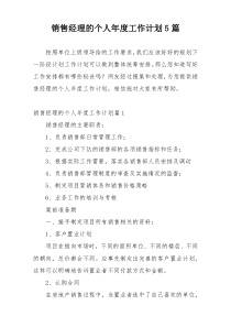 销售经理的个人年度工作计划5篇