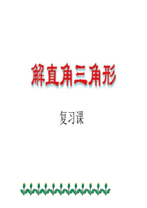 解直角三角形复习课件ppt