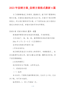 2023年促销方案_促销方案格式最新4篇