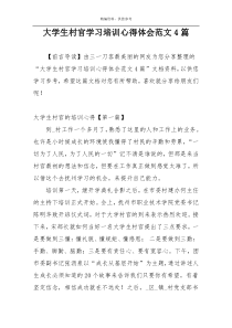 大学生村官学习培训心得体会范文4篇