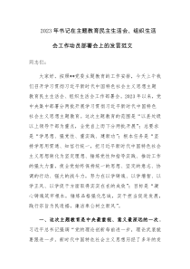 2023年书记在主题教育民主生活会、组织生活会工作动员部署会上的发言范文