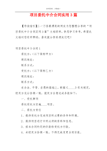 项目委托中介合同实用3篇