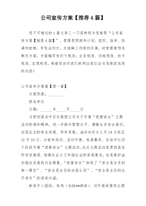 公司宣传方案【推荐4篇】