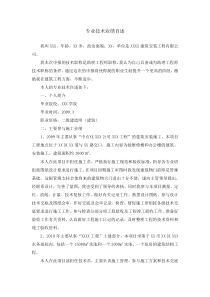 个人业绩自述