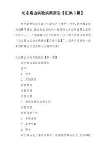 动态路由实验实践报告【汇集5篇】