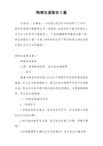 购销自查报告5篇