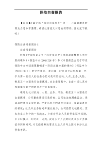 保险自查报告
