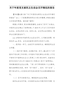关于年度党支部民主生活会召开情况的报告