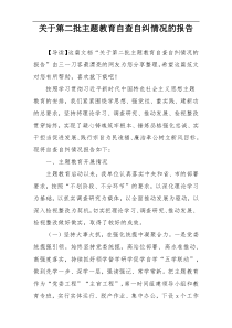 关于第二批主题教育自查自纠情况的报告