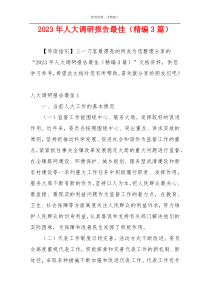 2023年人大调研报告最佳（精编3篇）