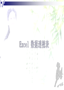 Excel2007数据透视表从入门到精通
