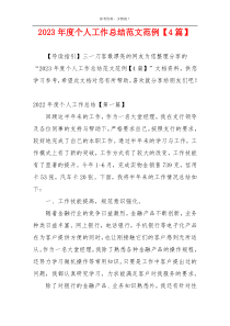2023年度个人工作总结范文范例【4篇】