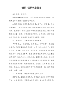 镇长 任职表态发言