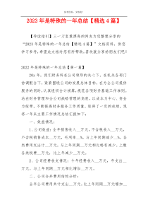 2023年是特殊的一年总结【精选4篇】