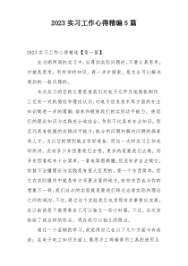 2023实习工作心得精编5篇
