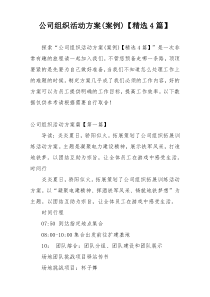 公司组织活动方案(案例)【精选4篇】
