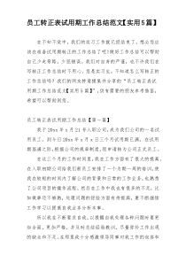 员工转正表试用期工作总结范文【实用5篇】