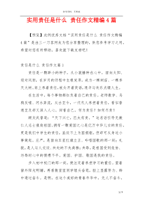 实用责任是什么 责任作文精编4篇