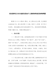 党支部书记2023组织生活会个人剖析材料发言材料两篇
