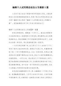 编辑个人试用期总结怎么写最新5篇