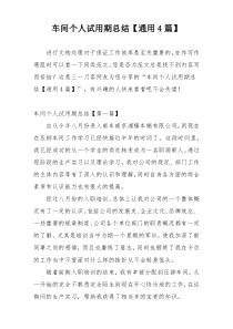 车间个人试用期总结【通用4篇】