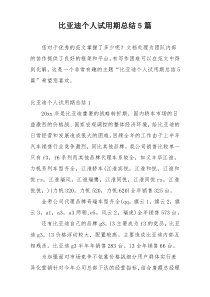 比亚迪个人试用期总结5篇