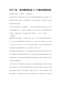 2017年资本聚焦在这17个细分领域市场（DOC19页）