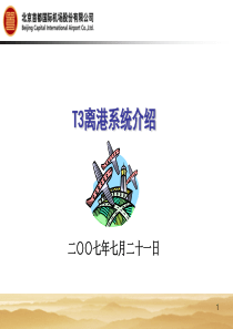 T3离港系统介绍