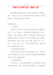网络平台营销方案（精编4篇）