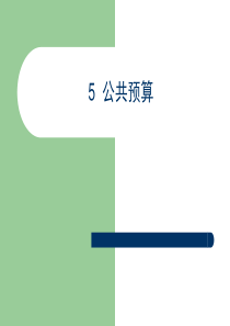 5 公共预算