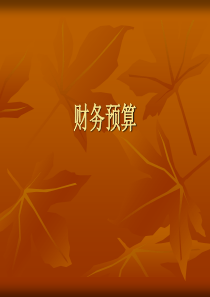 7财务预算