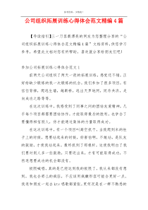 公司组织拓展训练心得体会范文精编4篇