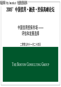 中国信用担保市场-评估和发展选择(ppt)