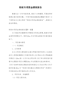 财政专项资金绩效报告