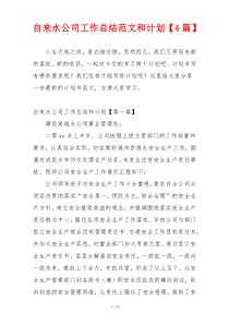 自来水公司工作总结范文和计划【4篇】