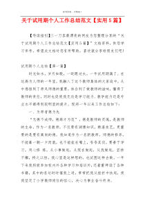 关于试用期个人工作总结范文【实用5篇】