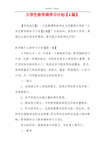 大学生新学期学习计划【4篇】