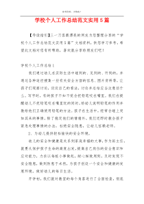 学校个人工作总结范文实用5篇