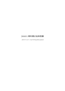 XXXX11两年期计划和预算
