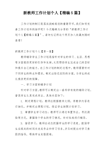 新教师工作计划个人【精编5篇】