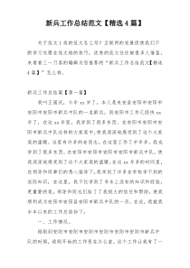 新兵工作总结范文【精选4篇】