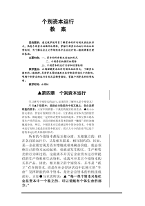 个别资本运行