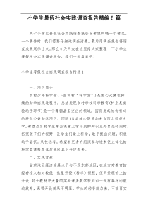 小学生暑假社会实践调查报告精编5篇