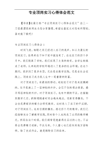 专业顶岗实习心得体会范文