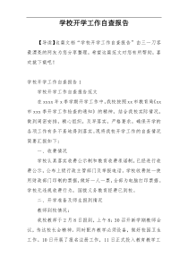 学校开学工作自查报告