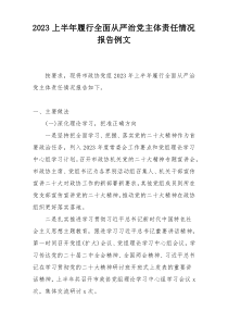 2023上半年履行全面从严治党主体责任情况报告例文