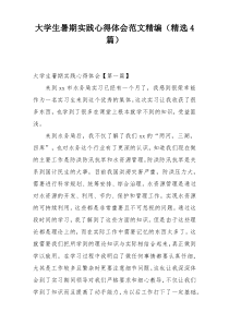 大学生暑期实践心得体会范文精编（精选4篇）