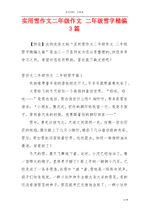 实用雪作文二年级作文 二年级雪字精编3篇