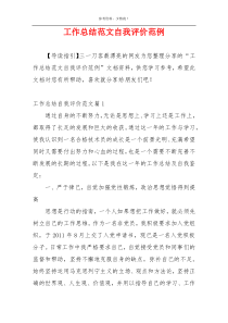 工作总结范文自我评价范例