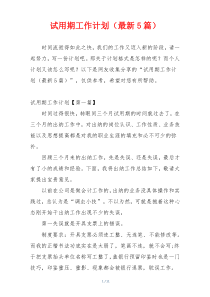 试用期工作计划（最新5篇）